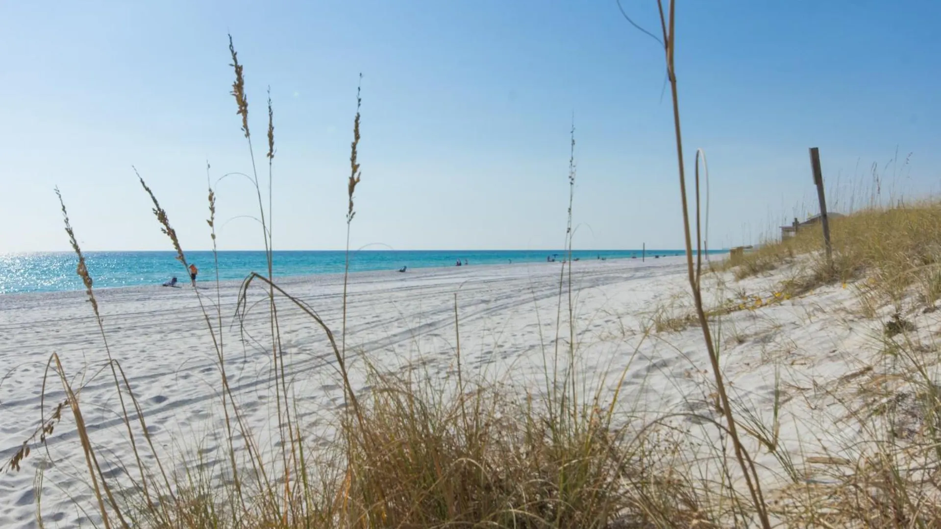 Shores Of Panama 1408 - Seaside Getaway Panama City Beach